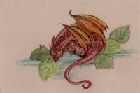 teeny dragon